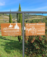 En plein coeur du Beaujolais, une structure pensée pour les chevaux, et leurs partenaires 